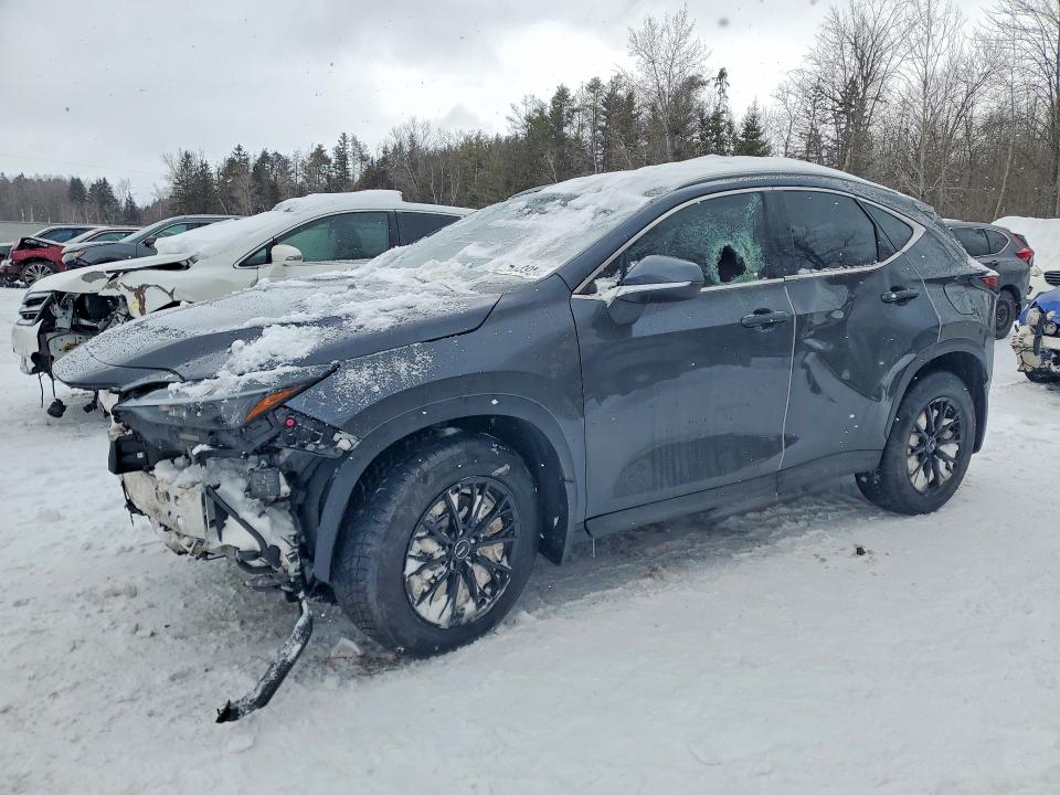 2022 LEXUS NX — VIN 2T2GKCEZ3NC002299
