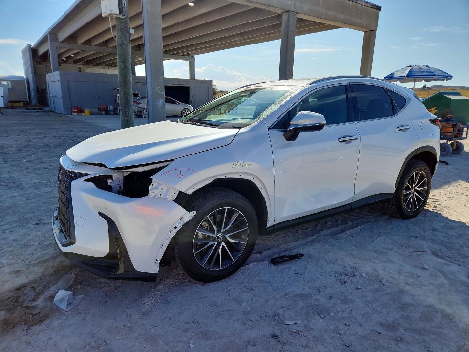 2024 LEXUS NX 250 — VIN 2T2GDCAZ2RC012084