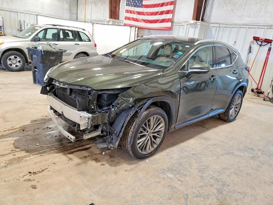 2025 LEXUS NX — VIN 2T2GKCEZ2SC035113