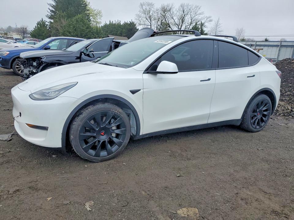 2022 TESLA MODEL Y — VIN 7SAYGAEE2NF420167