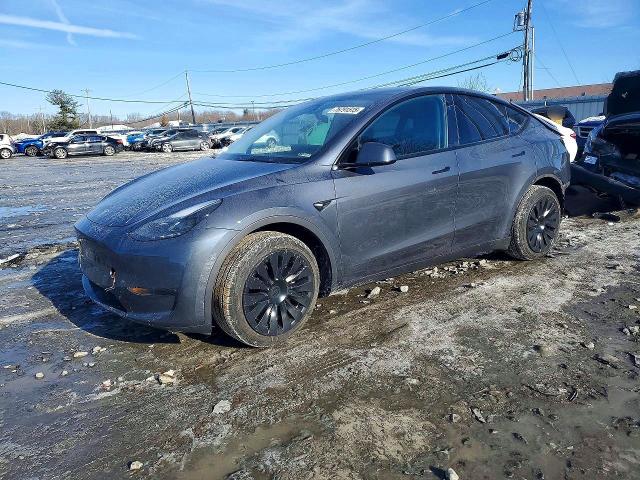2023 TESLA MODEL Y — VIN 7SAYGDEE9PA205323