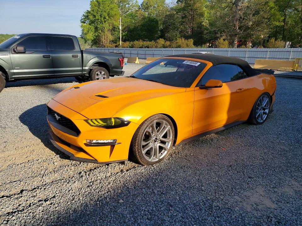 1FATP8UHXK5194135