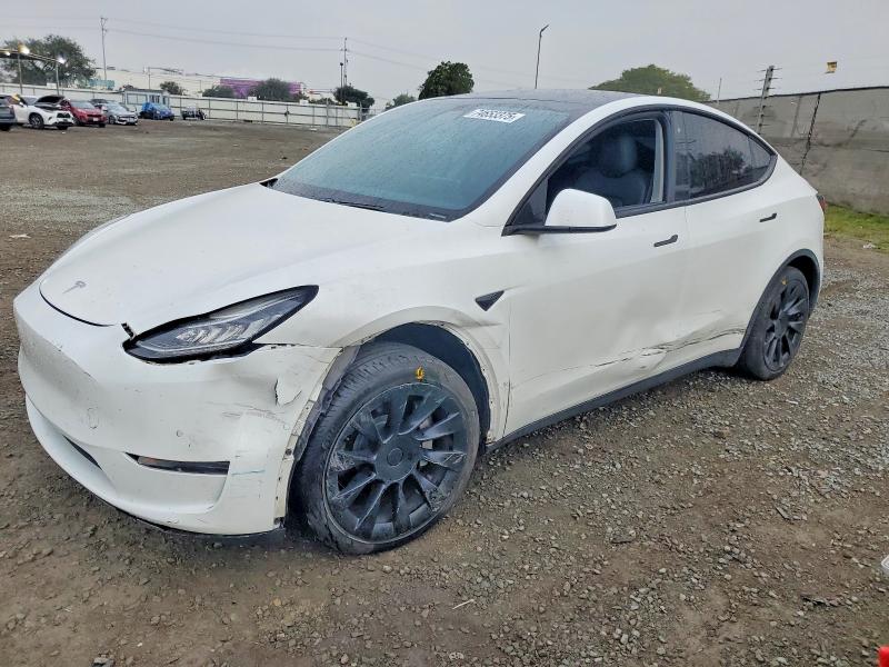 2020 TESLA MODEL Y — VIN 5YJYGDEE5LF004433
