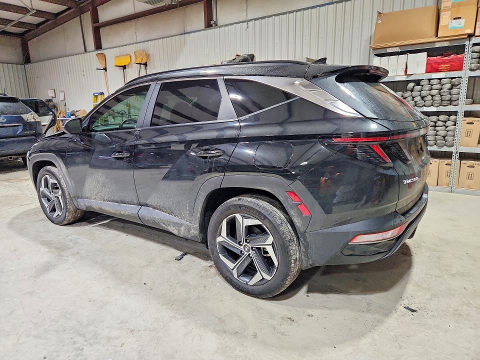 5NMJFCDE4RH304701