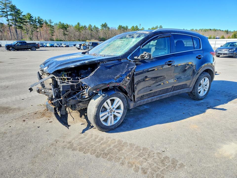 KNDPMCACXK7589923
