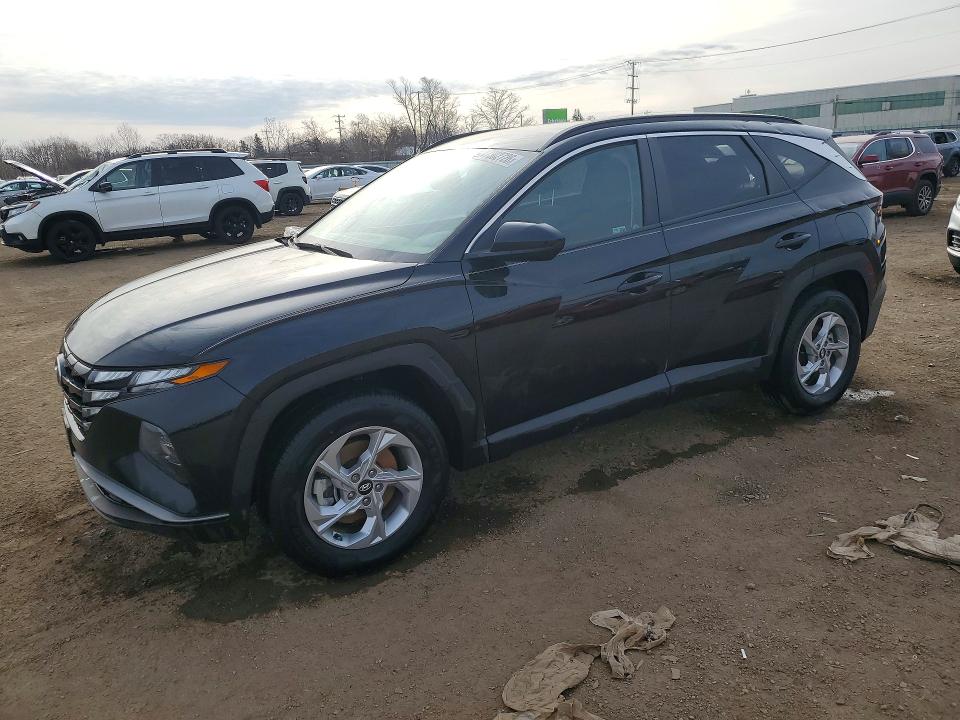 2024 HYUNDAI TUCSON — VIN 5NMJBCDE9RH398666