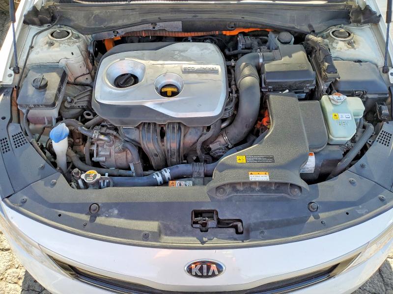 KNAGU4LEXK5032586