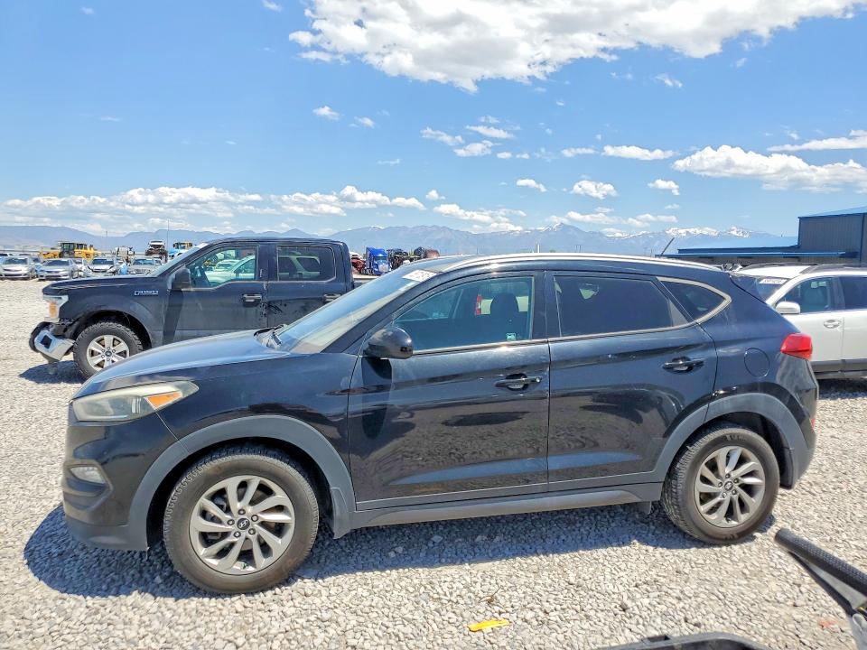 KM8J3CA43GU177364
