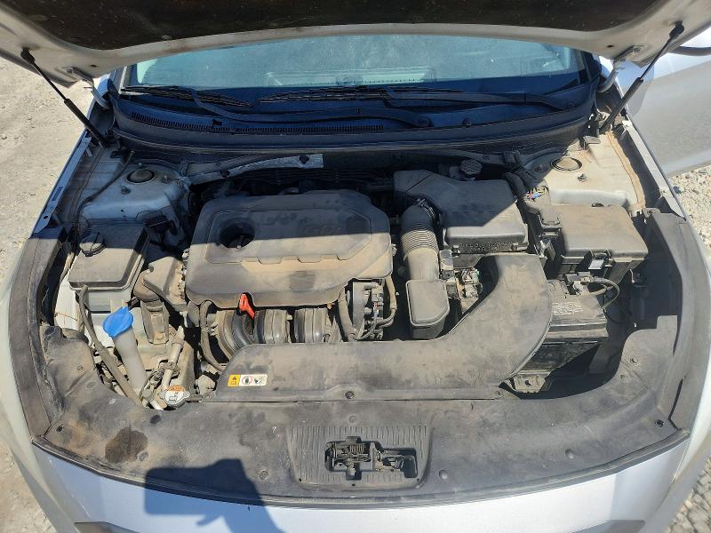 5NPE24AF1GH401984