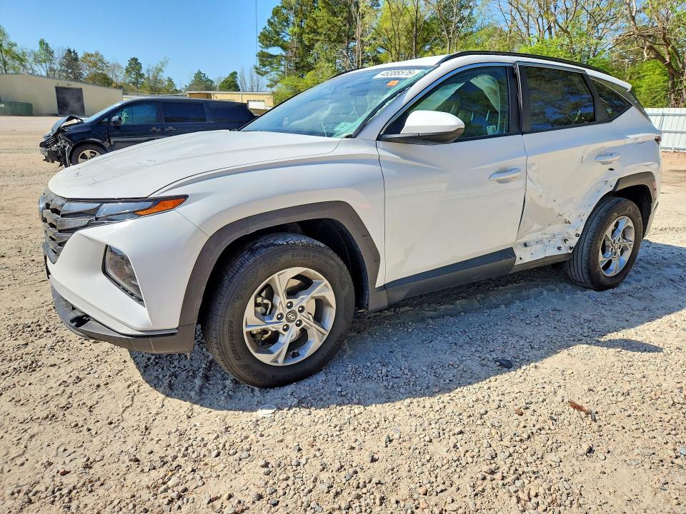 5NMJBCDE8RH395063