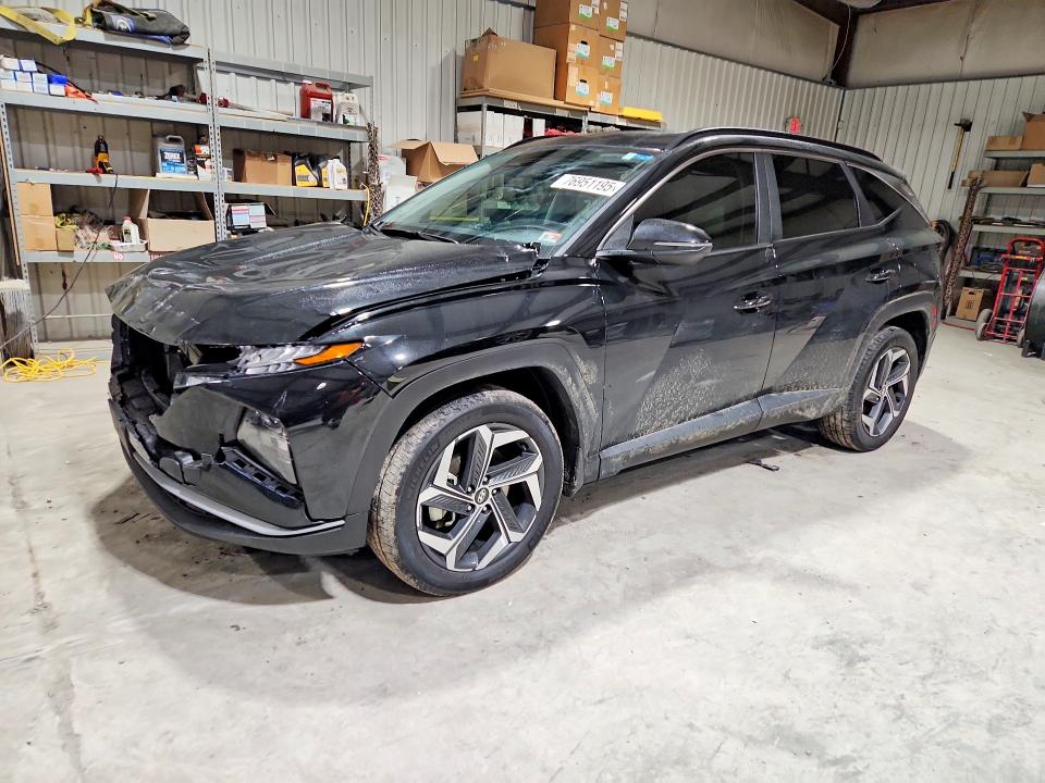 5NMJFCDE4RH304701