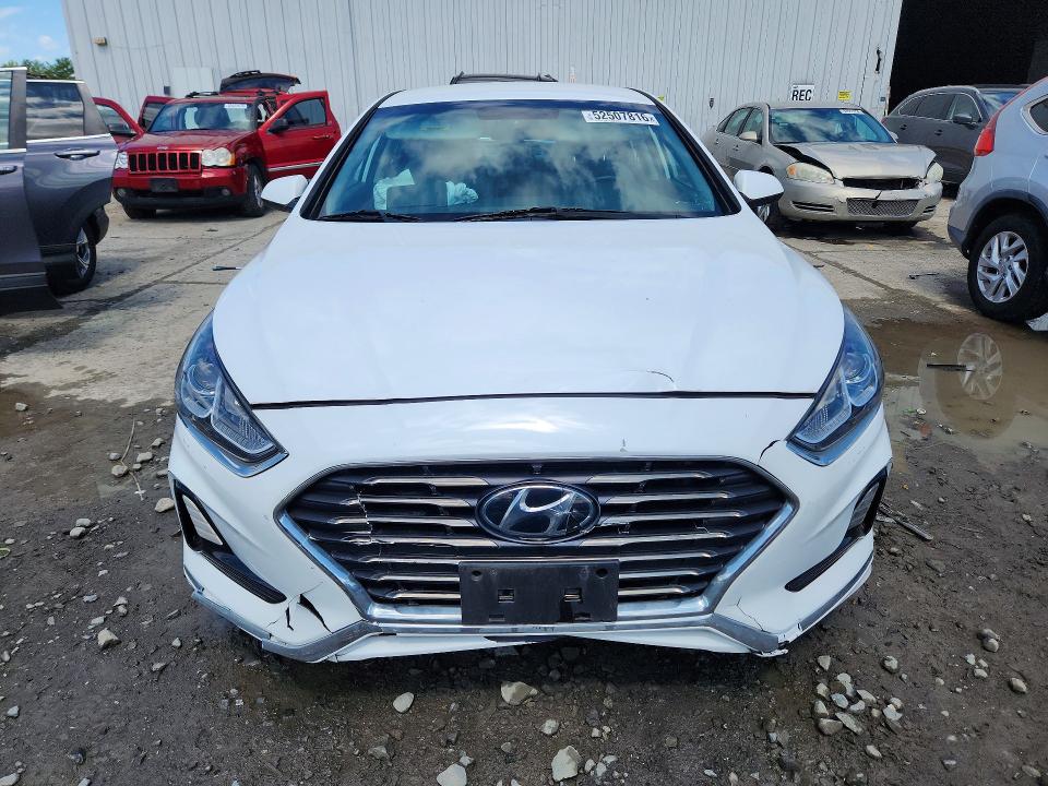 5NPE24AF7JH709054