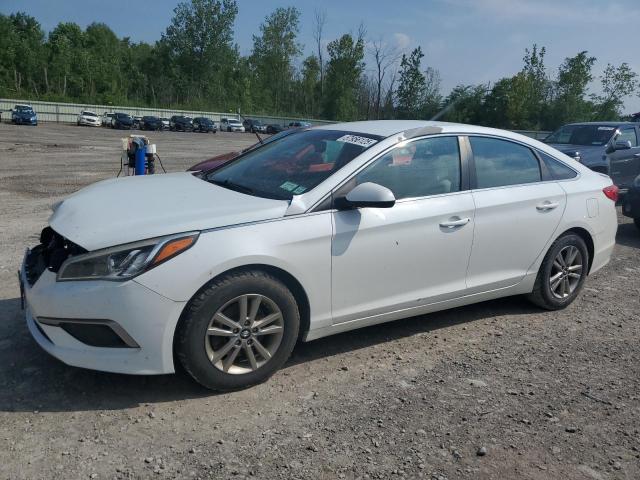 2016 HYUNDAI SONATA — VIN 5NPE24AF3GH417667