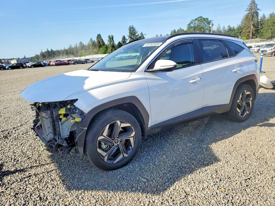 2024 HYUNDAI TUCSON — VIN KM8JCCD16RU142919