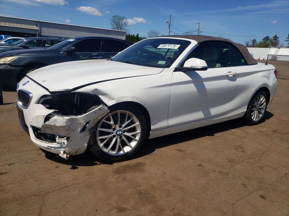 2016 BMW 228 — VIN WBA1K9C56GV710668