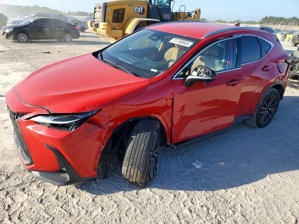 2024 LEXUS NX 250 — VIN 2T2ADCAZ5RC013073