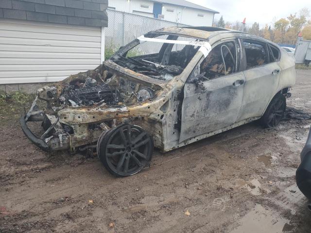 2013 BMW X6 XDRIVE3 — VIN 5UXFG2C59DL782374