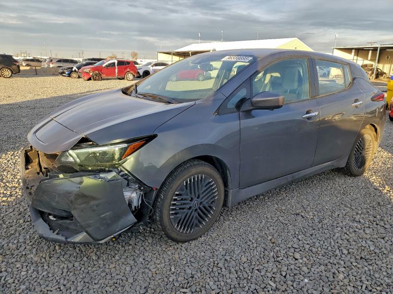 2025 NISSAN LEAF SV PL — VIN 1N4CZ1CV4SC565813