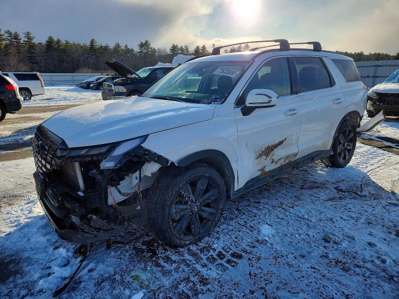 2024 HYUNDAI PALISADE — VIN KM8R3DGE2RU672697