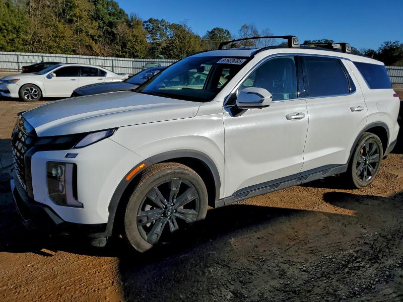 2025 HYUNDAI PALISADE — VIN KM8R34GE1SU857748