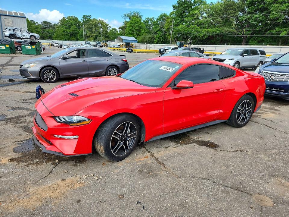 2019 FORD MUSTANG — VIN 1FA6P8TH5K5186443