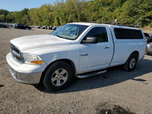 2010 DODGE RAM 1500 — VIN 3D7JB1EP1AG133055
