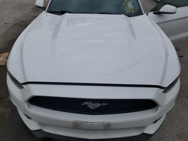 1FA6P8AMXF5367480