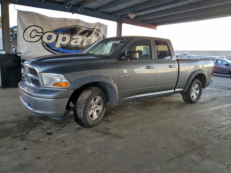 2010 DODGE RAM 1500 — VIN 1D7RV1GP8AS224551