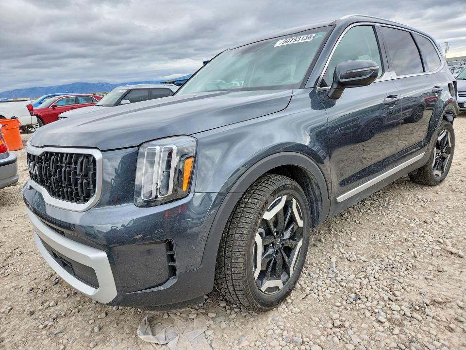 2024 KIA TELLURIDE — VIN 5XYP3DGC9RG442294