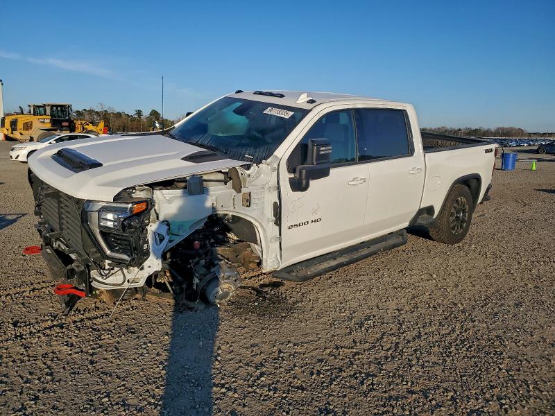 2025 CHEVROLET SILVERADO — VIN 2GC4KPEY7S1113874
