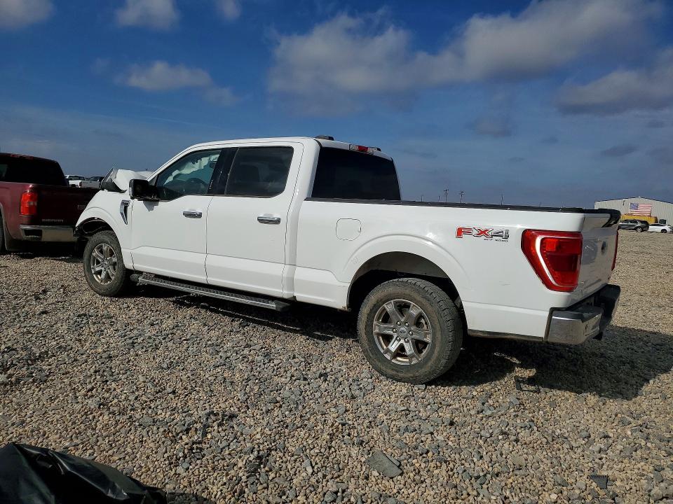 1FTFW1E81PKD46344