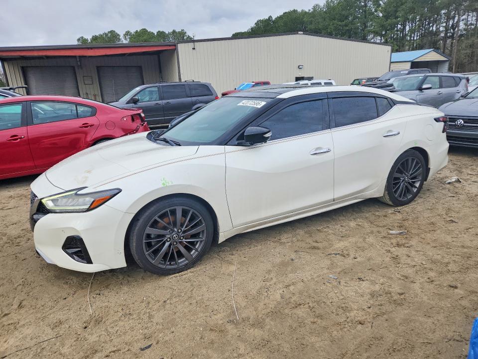 2019 NISSAN MAXIMA — VIN 1N4AA6AV2KC373711