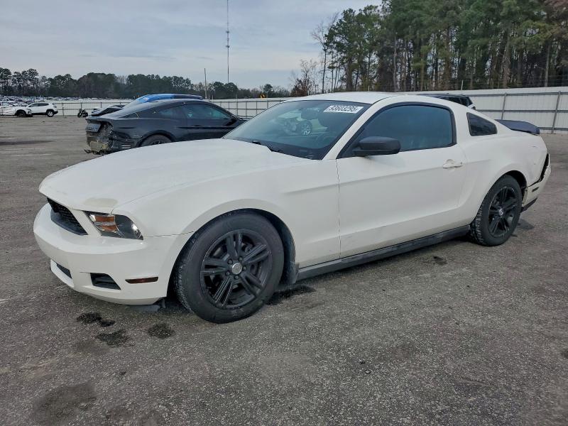 2010 FORD MUSTANG — VIN 1ZVBP8AN6A5100599