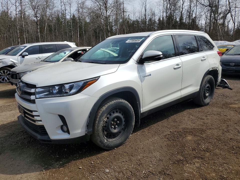 2019 TOYOTA HIGHLANDER HYBRID — VIN 5TDJGRFH8KS076678