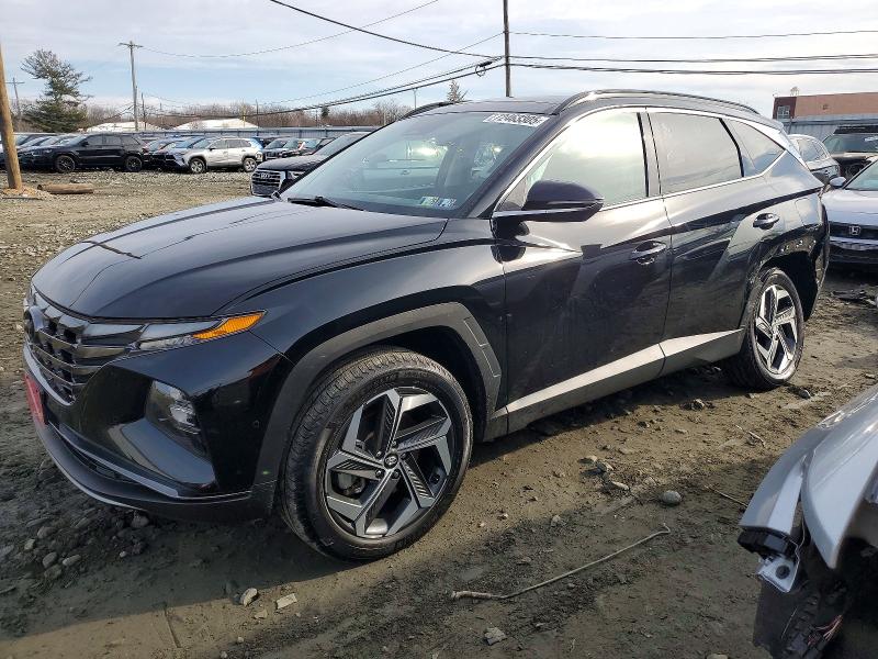2024 HYUNDAI TUCSON LIM — VIN 5NMJECDEXRH393516