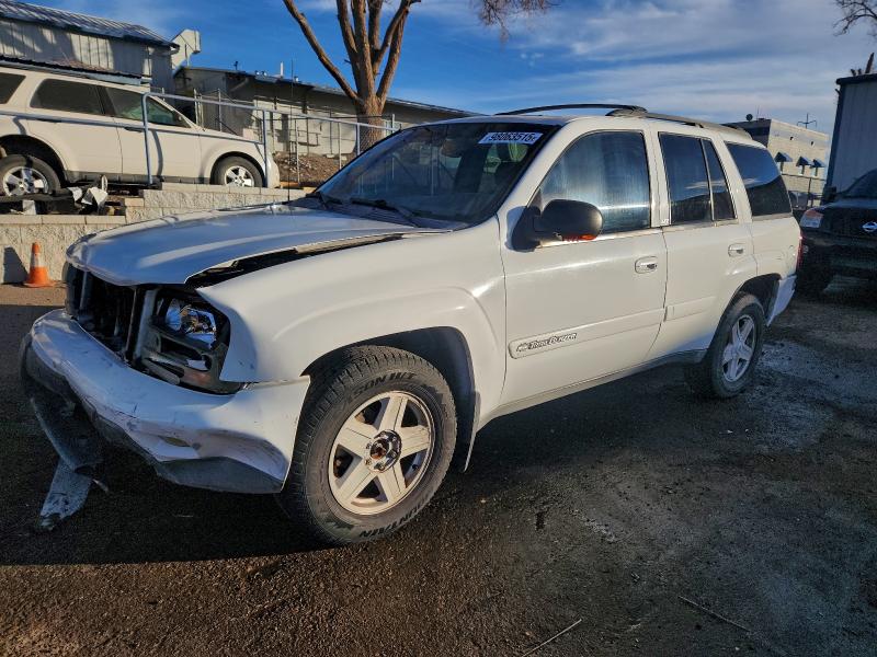 2002 CHEVROLET TRAILBLAZE — VIN 1GNDT13SX22220207