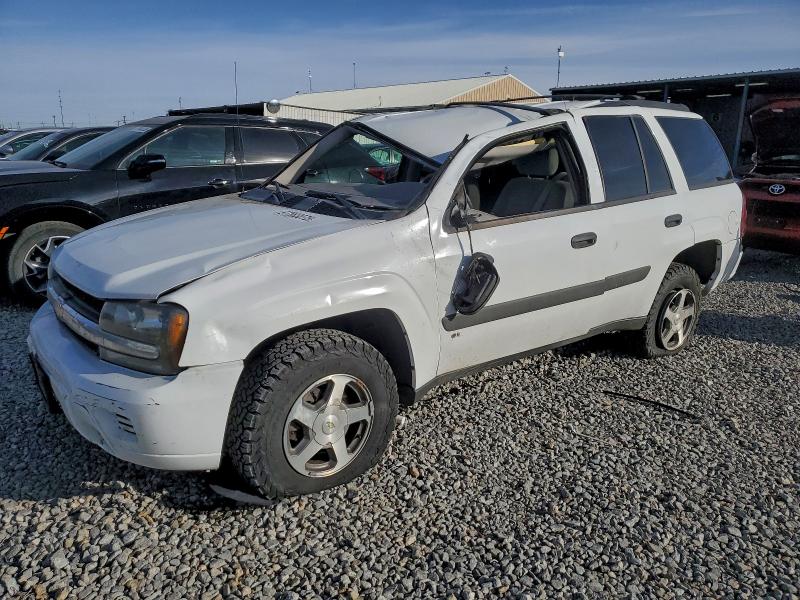 2005 CHEVROLET TRAILBLAZE — VIN 1GNDT13S552217266