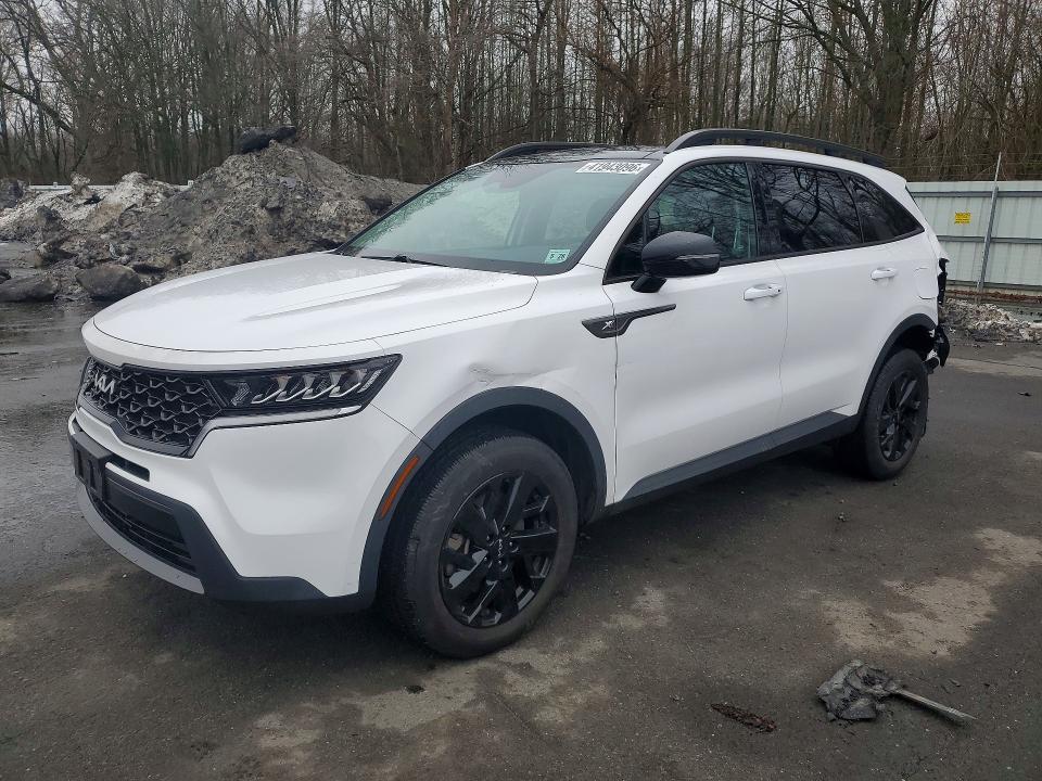 2023 KIA SORENTO — VIN 5XYRLDLC2PG203164