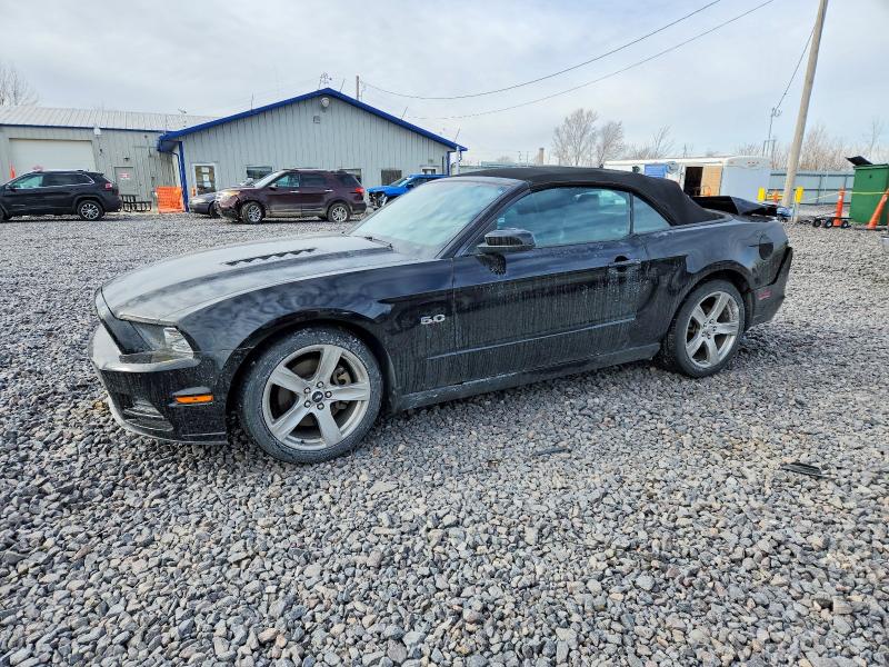 2013 FORD MUSTANG GT — VIN 1ZVBP8FF8D5240823