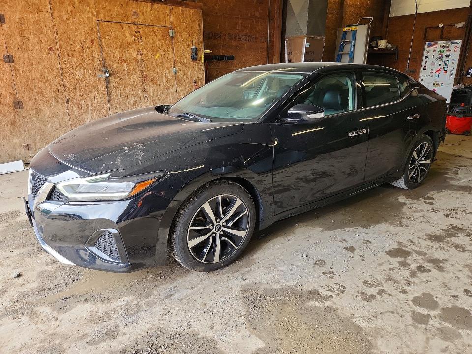 2023 NISSAN MAXIMA — VIN 1N4AA6CV8PC511353