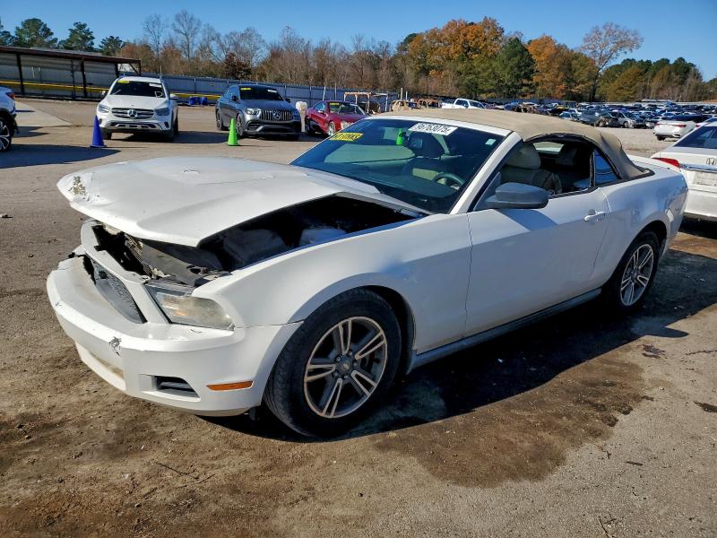 2011 FORD MUSTANG — VIN 1ZVBP8EM6B5112304