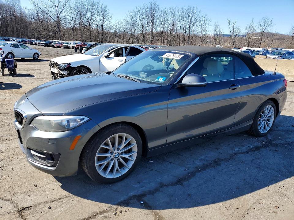 2016 BMW 228 — VIN WBA1L9C5XGV325515