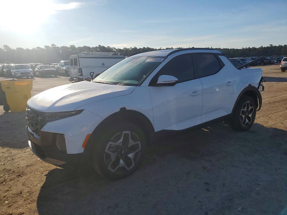 2024 HYUNDAI SANTA CRUZ — VIN 5NTJEDAF2RH095517