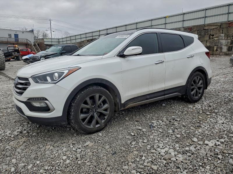 2017 HYUNDAI SANTA FE S — VIN 5NMZW4LA7HH047815