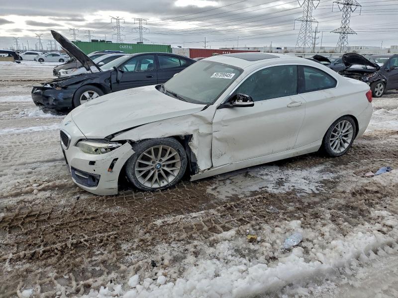 2016 BMW 228 — VIN WBA1G9C52GV598713