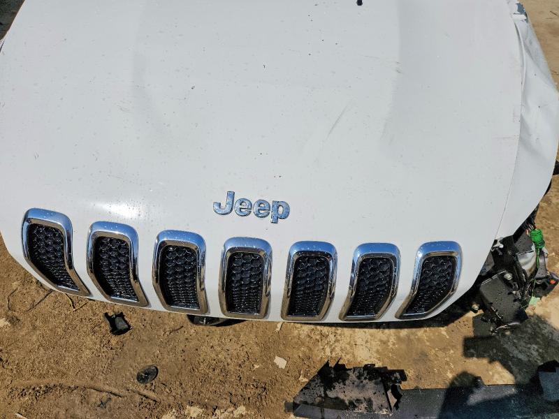 1C4PJMJS9HW618879