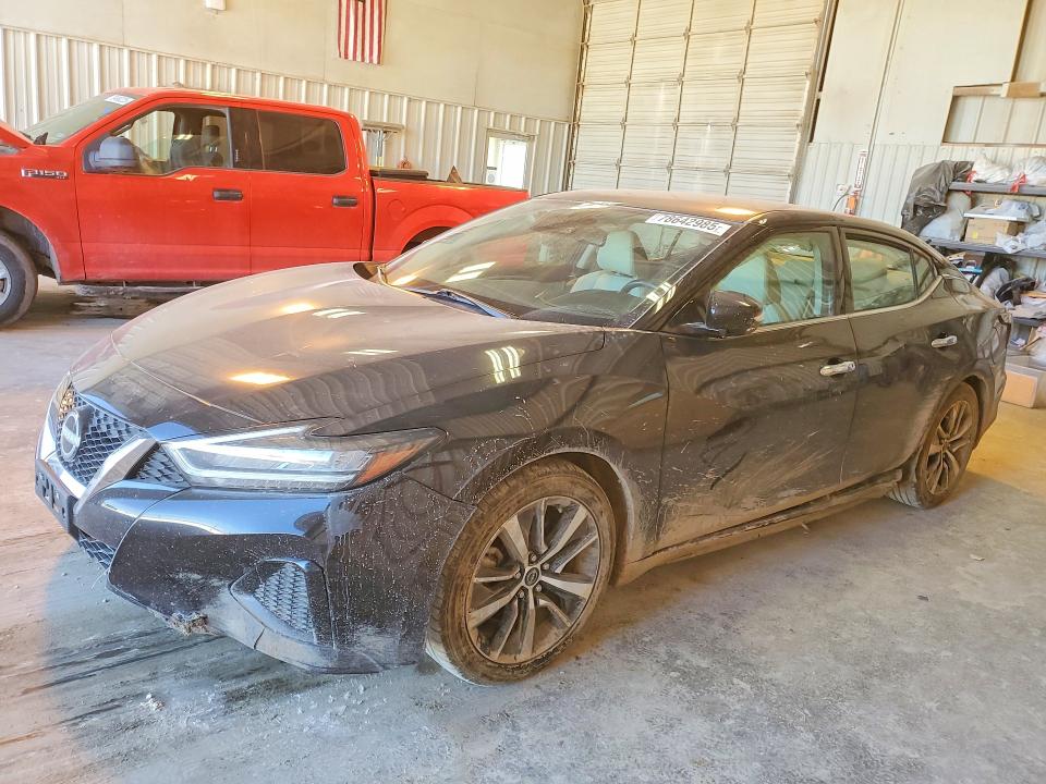 2023 NISSAN MAXIMA — VIN 1N4AA6CV9PC511541