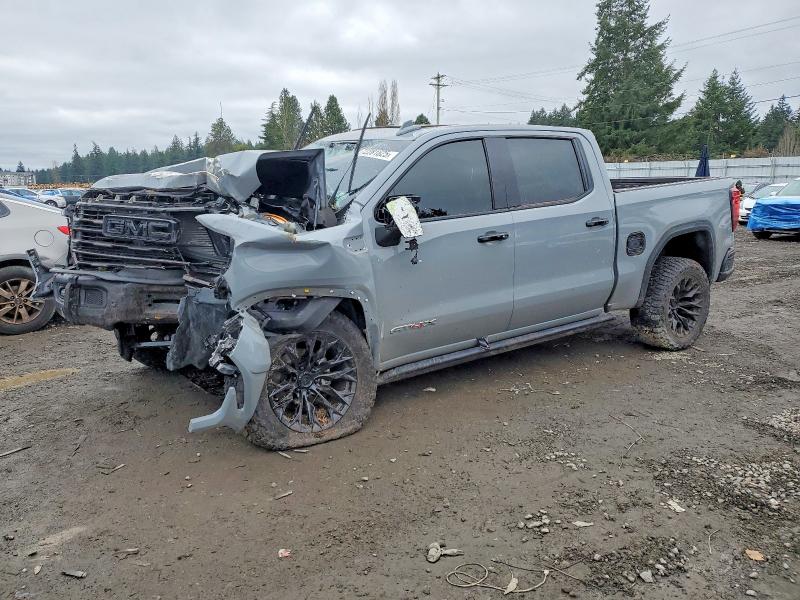 2024 GMC SIERRA K15 — VIN 3GTUUFEL0RG285609