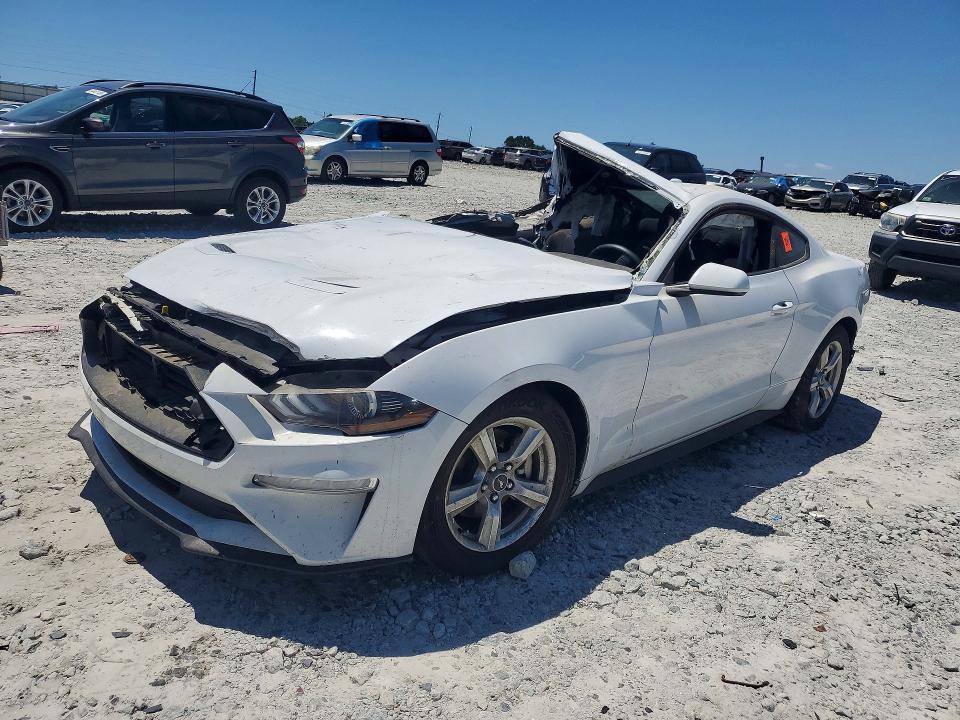 2019 FORD MUSTANG — VIN 1FA6P8TH1K5187301