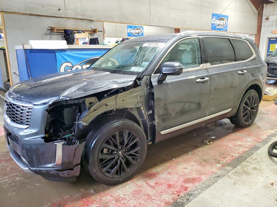 2020 KIA TELLURIDE — VIN 5XYP5DHC6LG079016